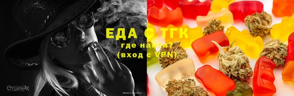 spice Инта