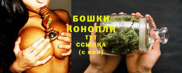 гидропоника Зеленодольск