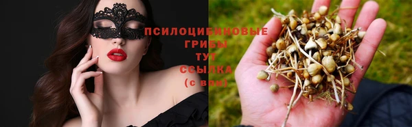 MESCALINE Иннополис