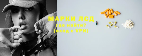 spice Инта