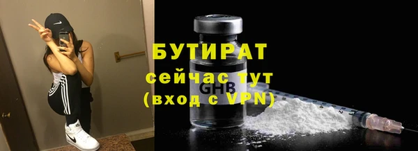 spice Инта
