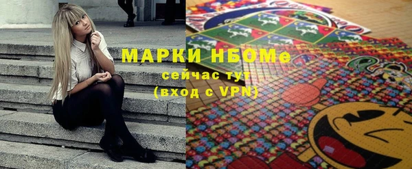 spice Инта