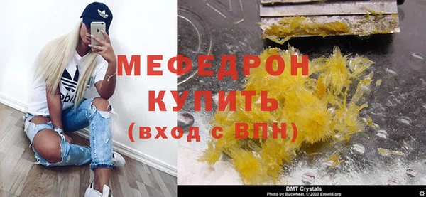 spice Инта