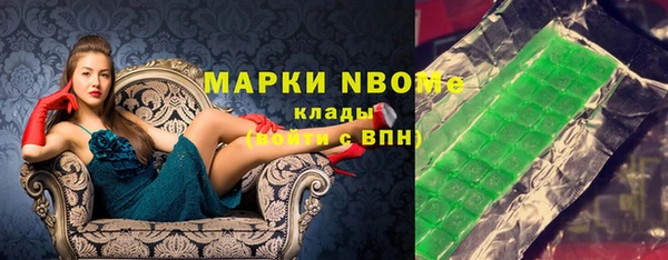 spice Инта