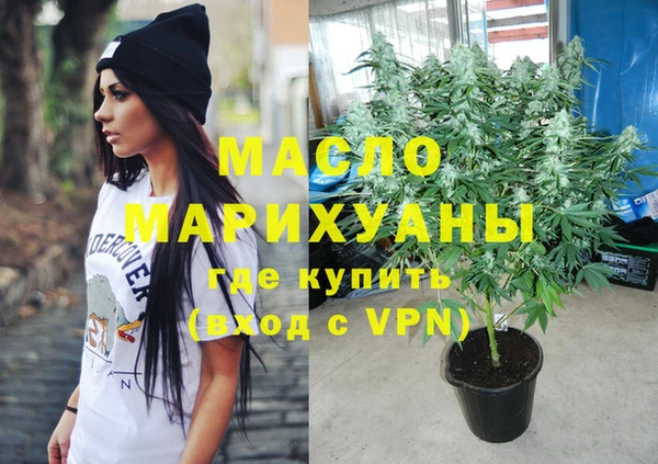 spice Инта
