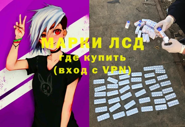 spice Инта