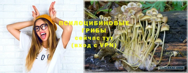 spice Инта