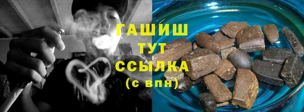 spice Инта