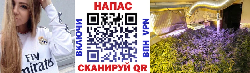Марихуана VHQ  Купить  Обь 